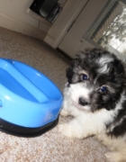 PepperMINT Patty…;o)