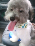 Chocolatte's Summer Reads!!