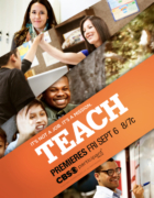 Vintage Skirt + Chambray Shirt